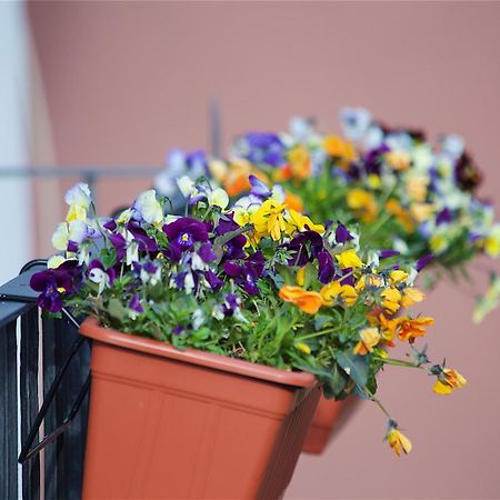 Il Giardino Segreto Panzió Sorrento Kültér fotó