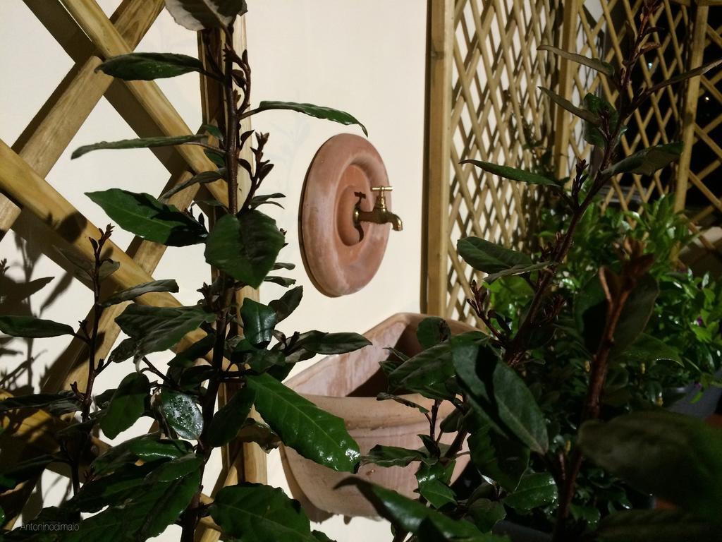 Il Giardino Segreto Panzió Sorrento Kültér fotó