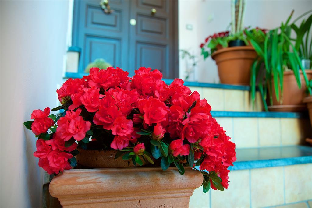 Il Giardino Segreto Panzió Sorrento Kültér fotó