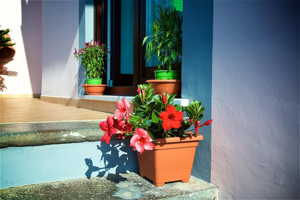 Il Giardino Segreto Panzió Sorrento Kültér fotó