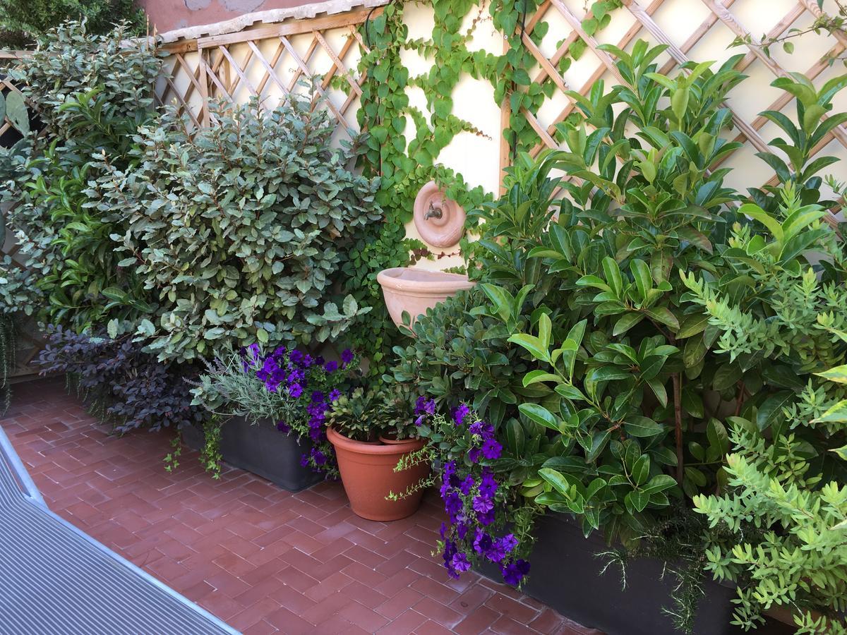 Il Giardino Segreto Panzió Sorrento Kültér fotó